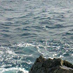 潮岬でグレ釣り