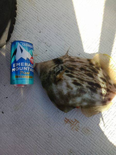 レンタルボート釣行