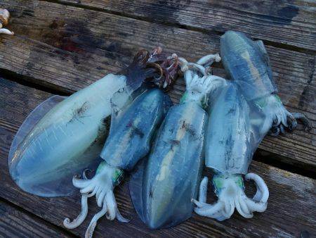 今シーズン初のキロアップ