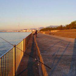 かろうじて一本・・・