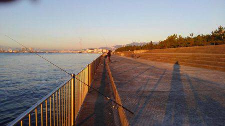 かろうじて一本・・・