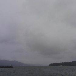 ミップル様周辺にて(笑)。