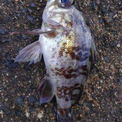 ミップル様周辺にて(笑)。