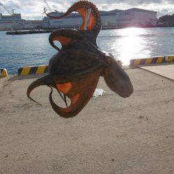 クラーケン！でいいですか？