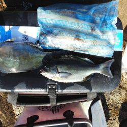 こんなん出ました・・・pt4