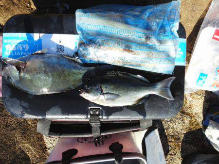 こんなん出ました・・・pt4