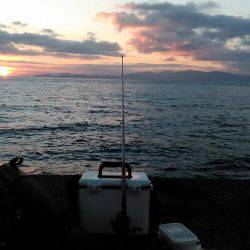 カワハギが釣りたくて