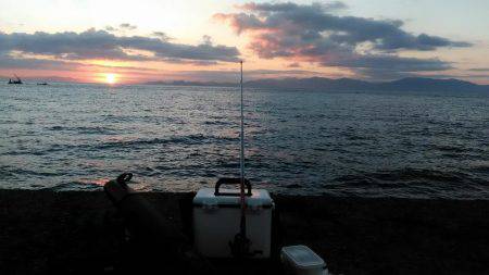 カワハギが釣りたくて