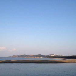 久々ヒラセイゴ！