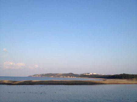 久々ヒラセイゴ！