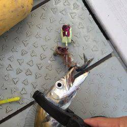 タチウオジギング&テンヤ