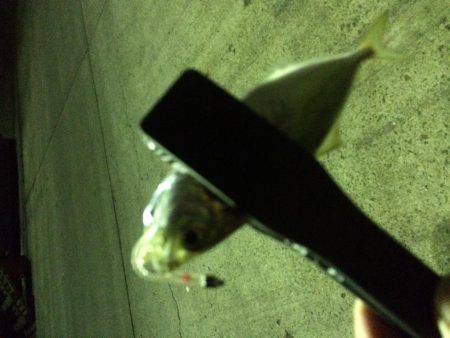 もう直ぐシーズン終了？