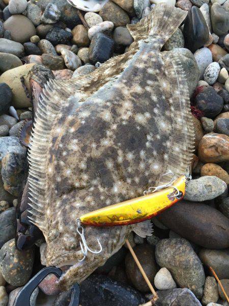 感動をありがとう！