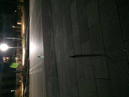 太刀魚まだ気配あり