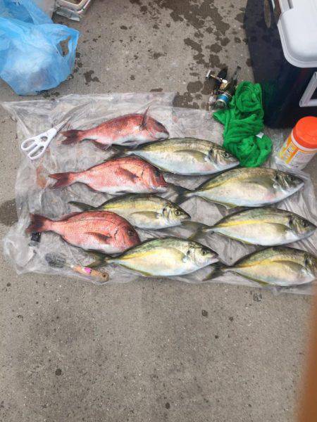 海上釣り堀湯浅