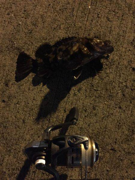 クリぼっちに負けず