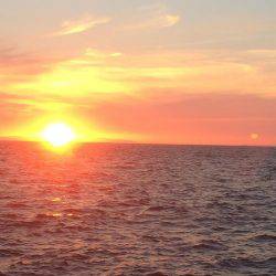 噂どうりでした！