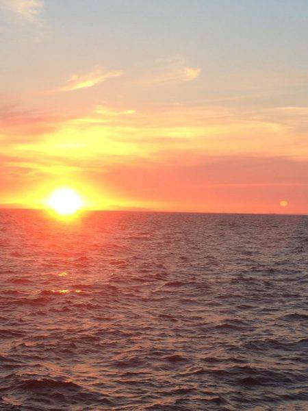 噂どうりでした！