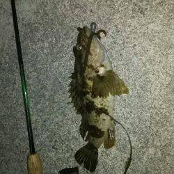 久しぶりのロック♪