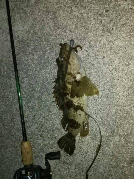 久しぶりのロック♪