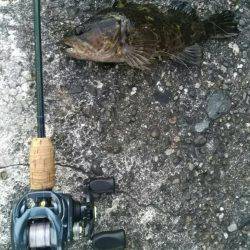 まさかまさかの尺アップ！？