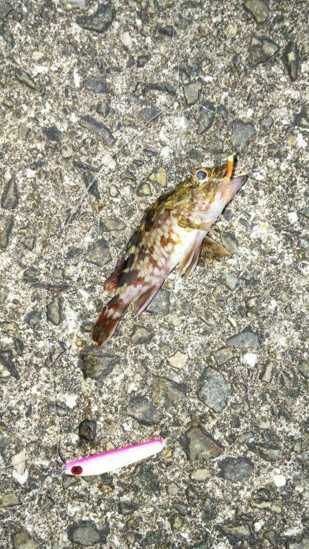 いろいろGET！！