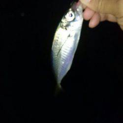 雨を覚悟の上でメバリング