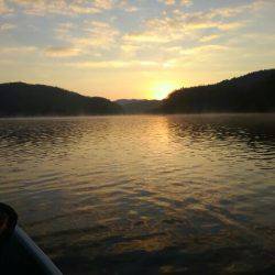 今季初ワカサギ