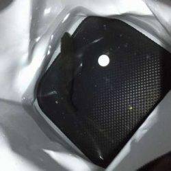 爆風メバリング