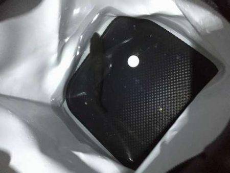 爆風メバリング