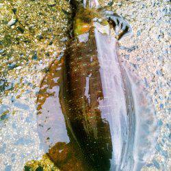 中潮は相性がいい～♪