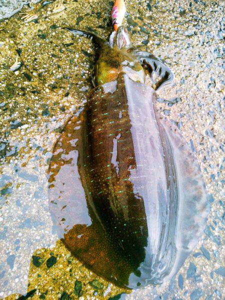 中潮は相性がいい～♪