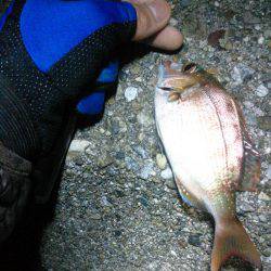 探り釣りは難しい…