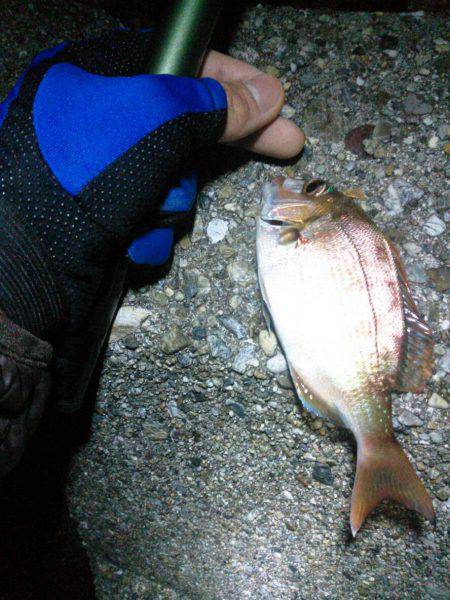 探り釣りは難しい…