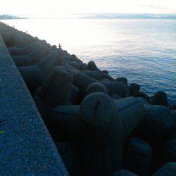 初タチ初キビレ