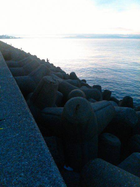 初タチ初キビレ