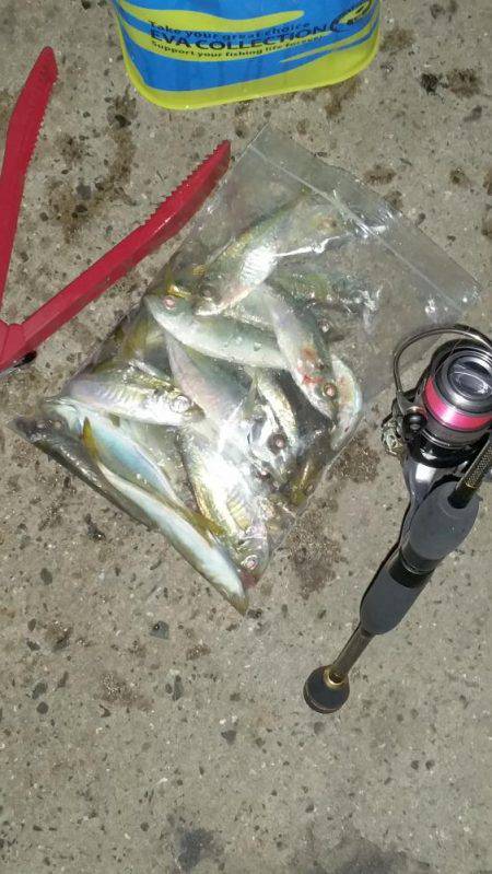 満潮22時半～から