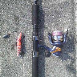 こんな日にもコウイカ釣れた！