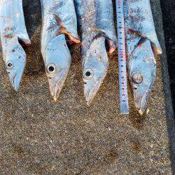 あと、3㎝…( TДT)