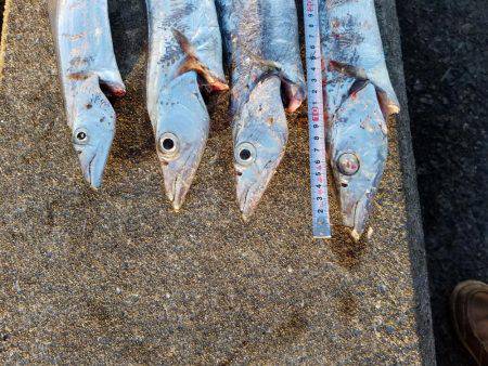 あと、3㎝…( TДT)