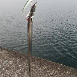 シーズン終了間際でどうにか一本