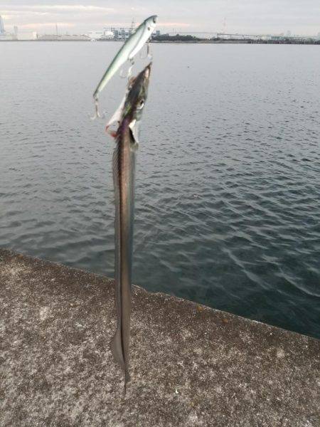 シーズン終了間際でどうにか一本