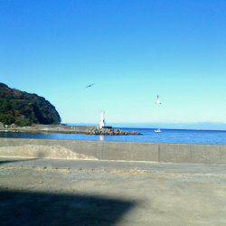 タコ狙いをしていたら水面から襲い掛かってきた～