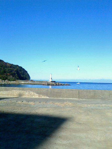 タコ狙いをしていたら水面から襲い掛かってきた～