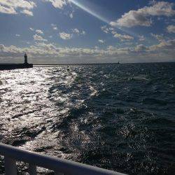 ジャンボアジはお留守でした。