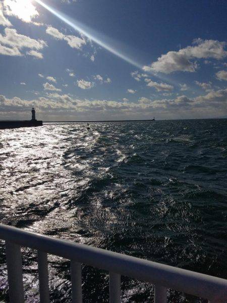 ジャンボアジはお留守でした。