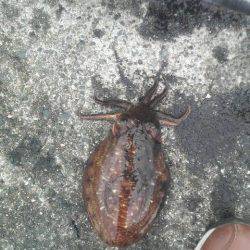 まだまだ釣れるぞ！