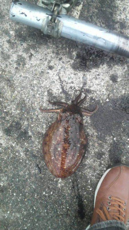 まだまだ釣れるぞ！