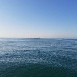 タチウオその他