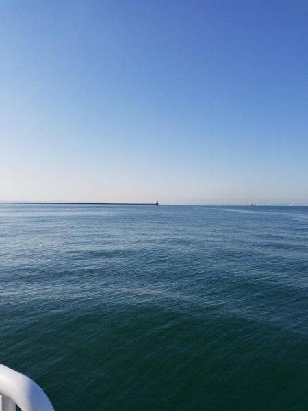 タチウオその他